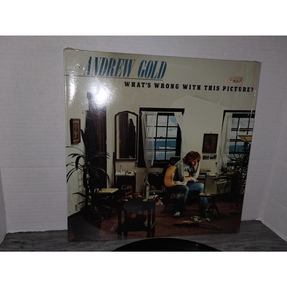 Andrew Gold - What's Wrong with This Picture Vinyl Record 1976, Asylum, 7E-1086 - Picture 3 of 6